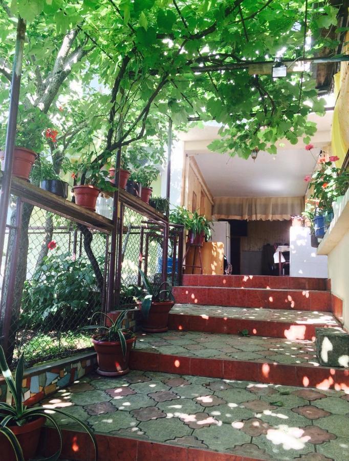 Hôtel Гостевой Дом «Лиза» à Gagra Extérieur photo